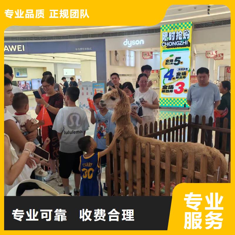 【圖】策劃活動(dòng)價(jià)格