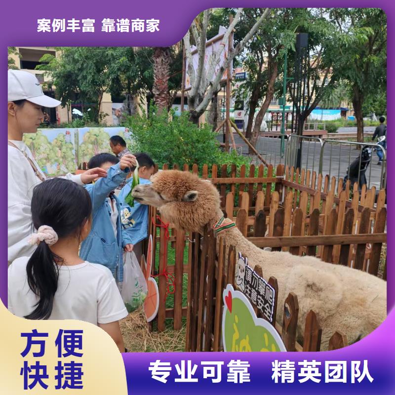 有現(xiàn)貨的景區(qū)活動廠家