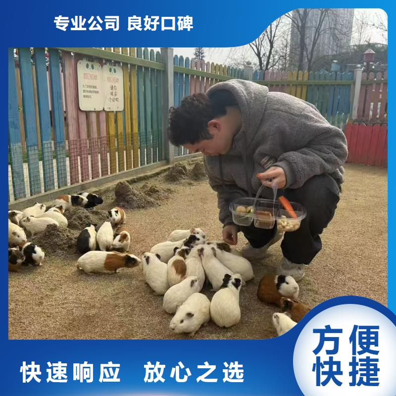 #羊駝出租#到廠參觀