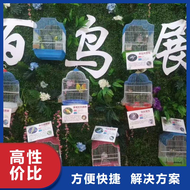 景區(qū)活動(dòng)-質(zhì)量可靠