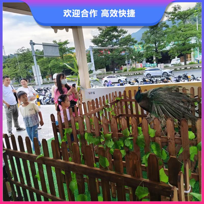 【圖】景區(qū)活動廠家批發(fā)