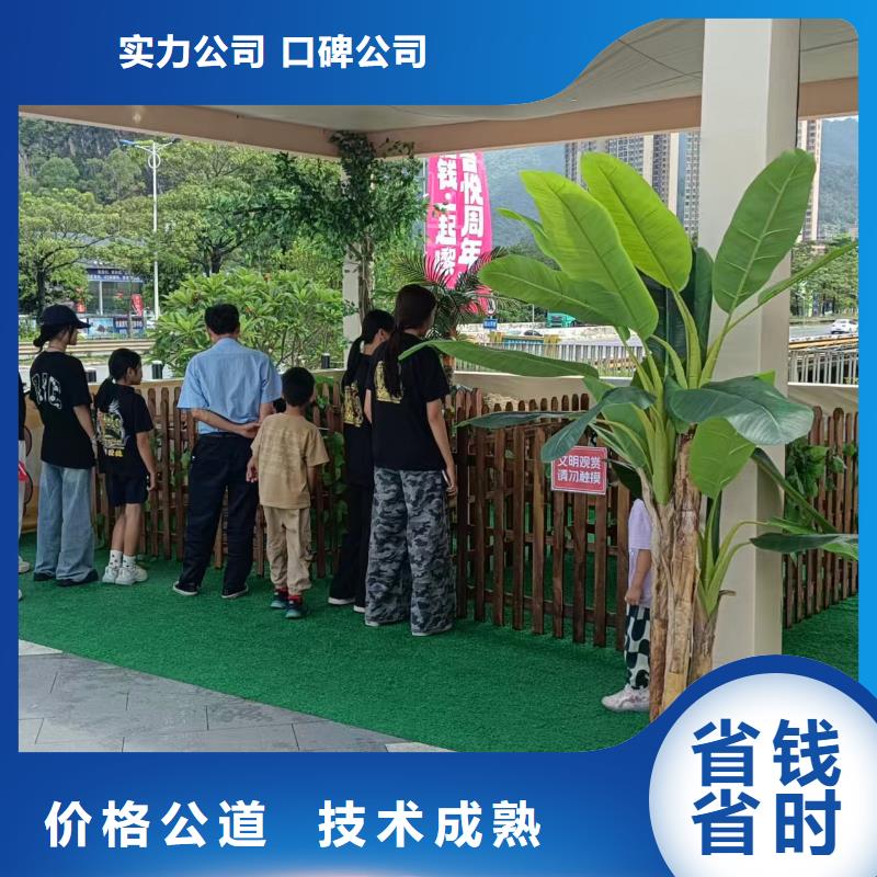 矮馬出租如何購(gòu)買(mǎi)