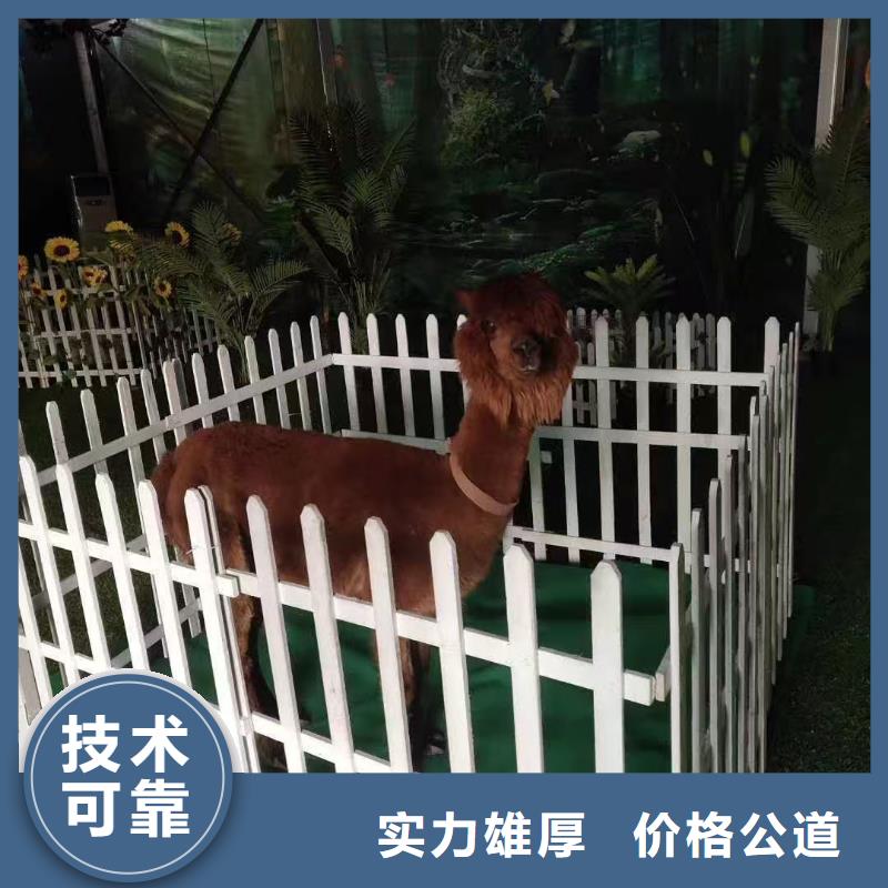 商場暖場活動-商場暖場活動質(zhì)優(yōu)價廉