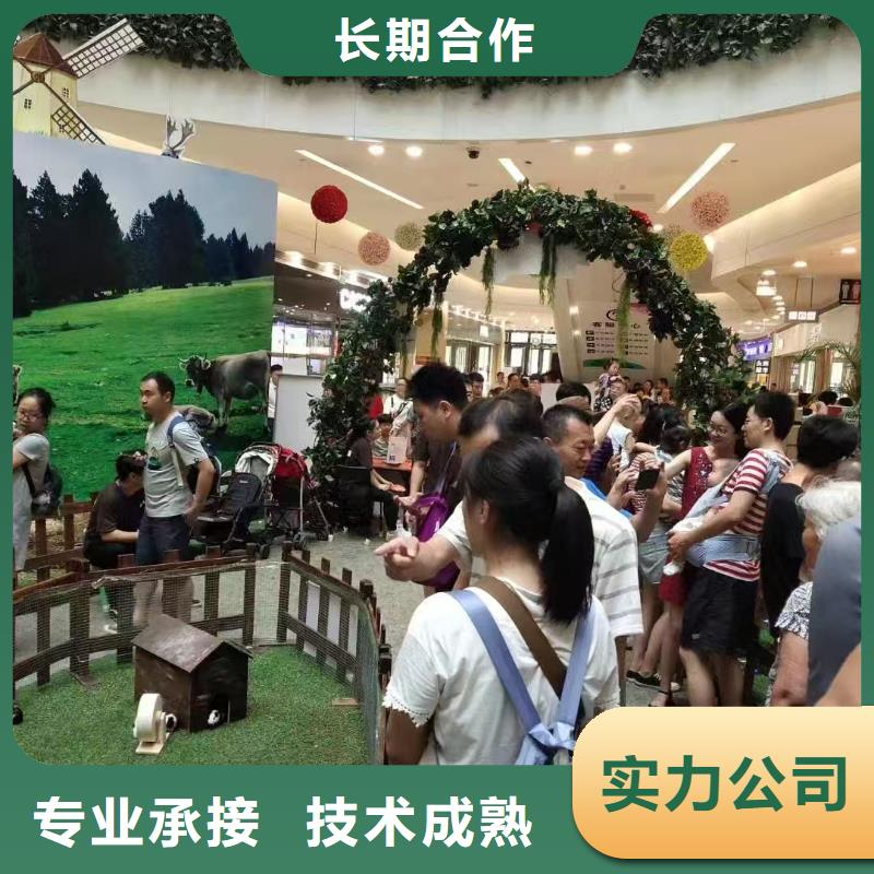 口碑好的萌寵出租生產(chǎn)廠家