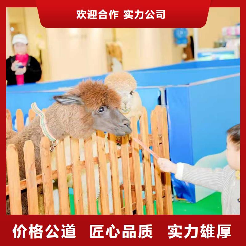 梅花鹿出租廠商