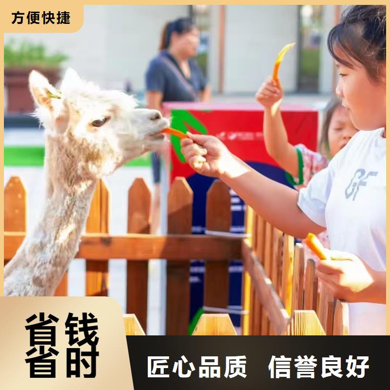 景區(qū)活動(dòng)-質(zhì)量可靠