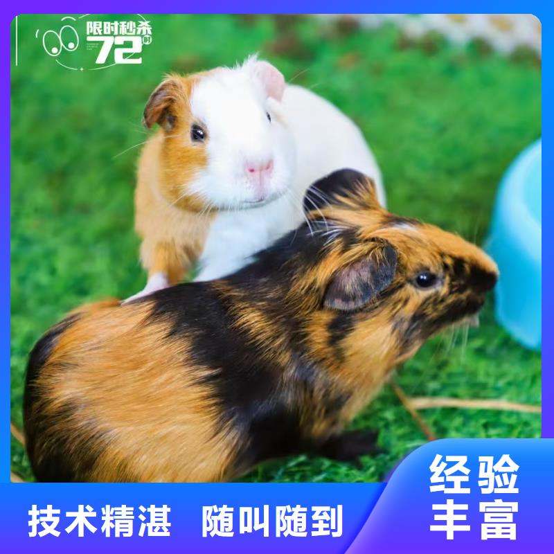 商場暖場活動-商場暖場活動質(zhì)優(yōu)價廉