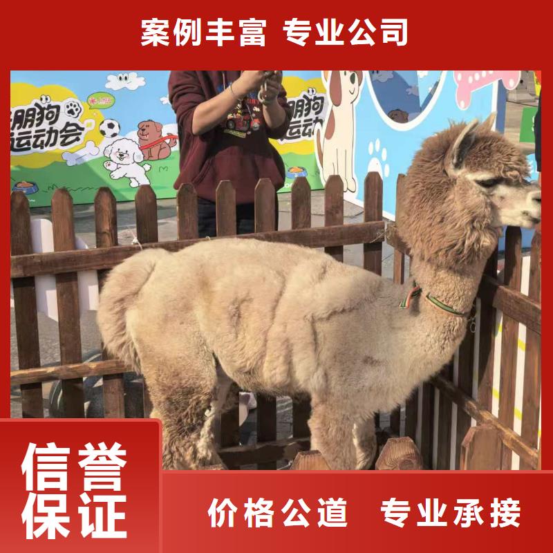 【圖】景區(qū)活動廠家批發(fā)