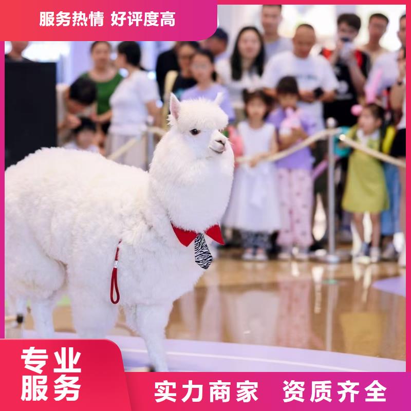 景區(qū)活動訂購