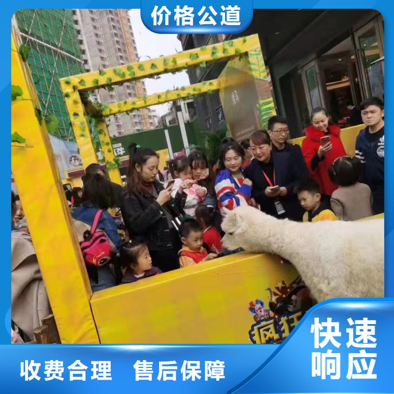 專業(yè)銷售策劃活動(dòng)-保量