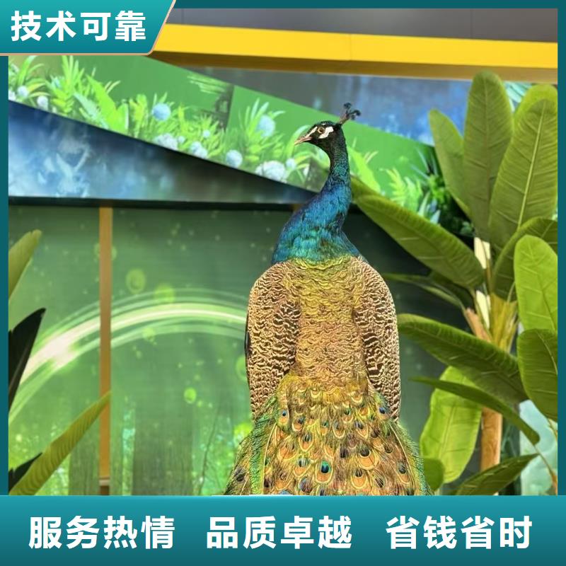 【圖】景區(qū)活動廠家批發(fā)