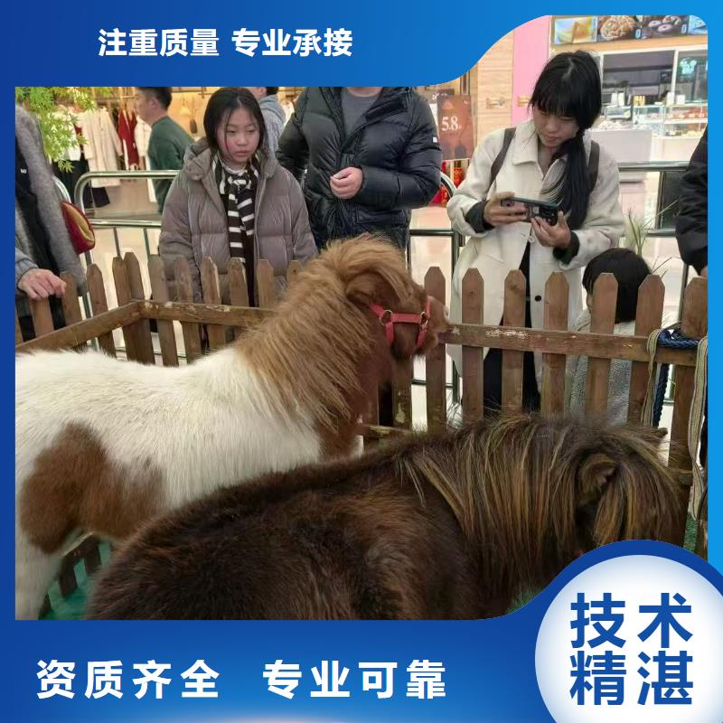 商場暖場活動生產(chǎn)定制