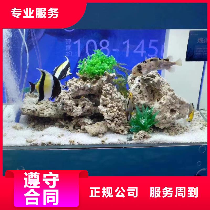 質(zhì)優(yōu)價廉的企鵝出租基地