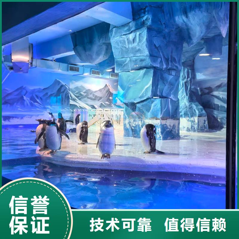 企鵝展覽采購找口碑廠家