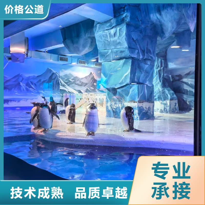 企鵝展覽-質(zhì)量可靠