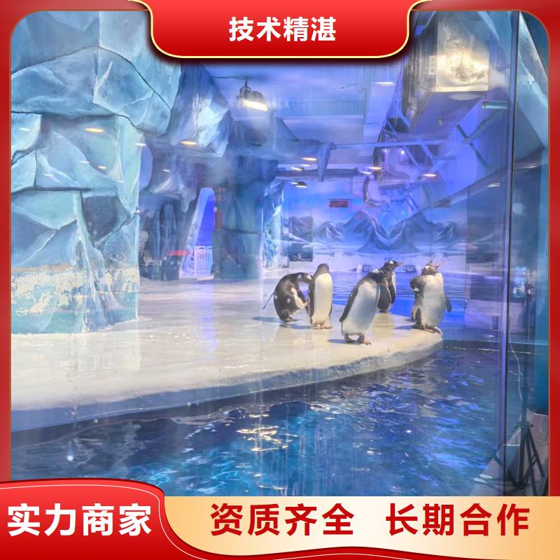 優(yōu)選帝企鵝