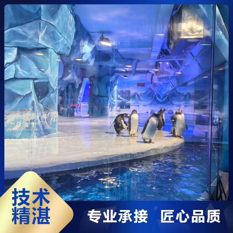 服務(wù)周到的企鵝展覽基地