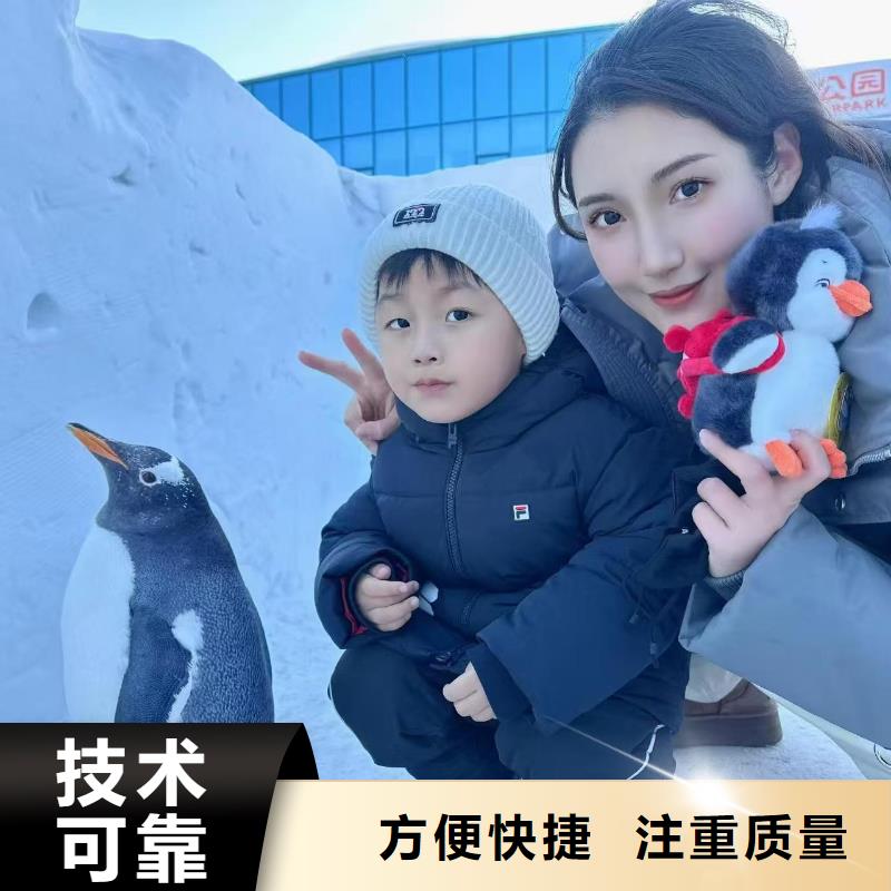 企鵝出租廠家-價(jià)格合理