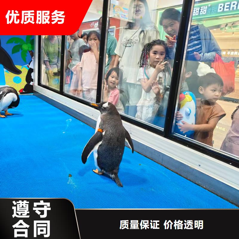 企鵝展覽-超低價格