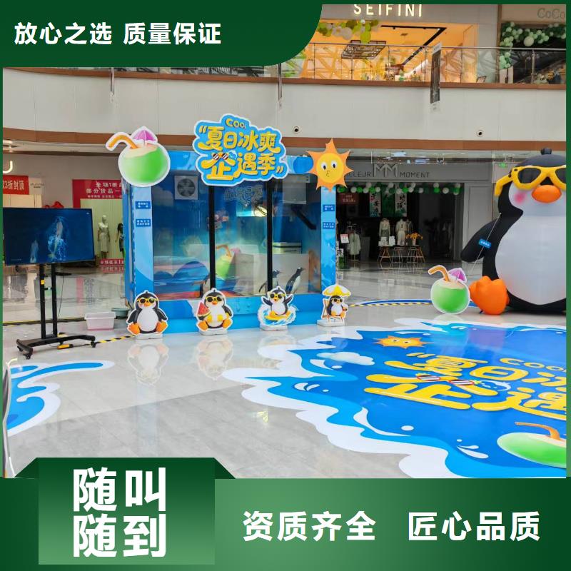 企鵝出租廠家-價(jià)格合理