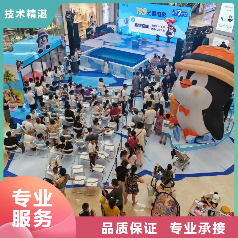 帝企鵝 -帝企鵝 可定制