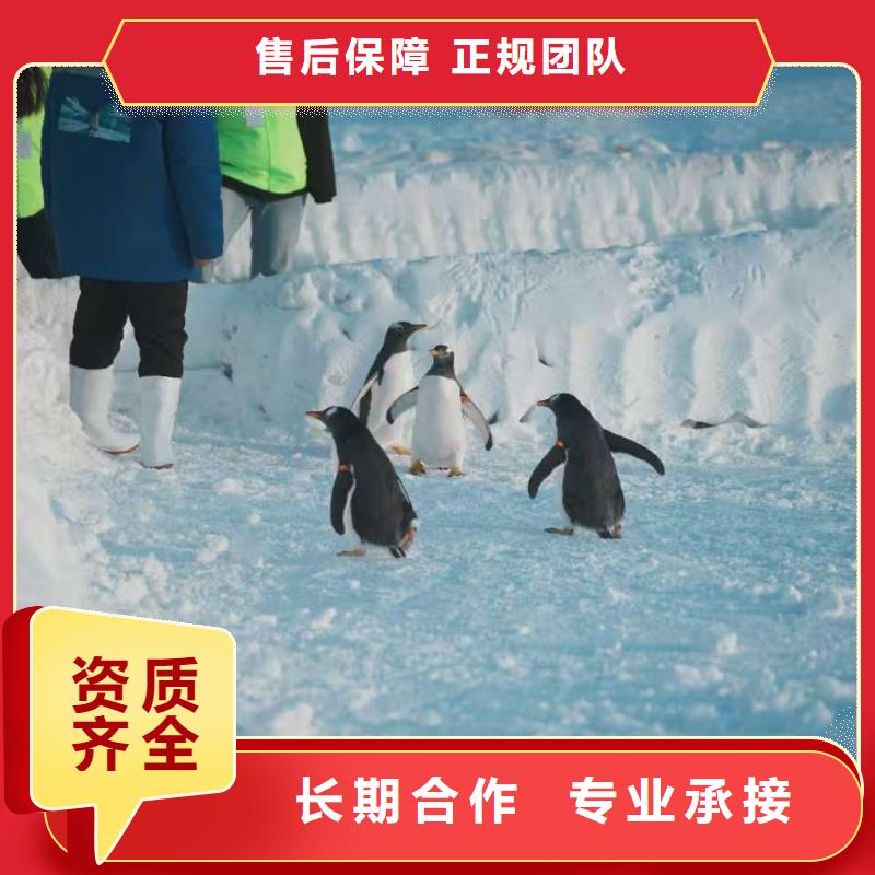 企鵝出租-只做精品