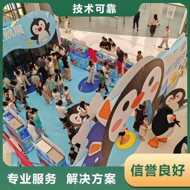 質(zhì)優(yōu)價廉的企鵝出租基地