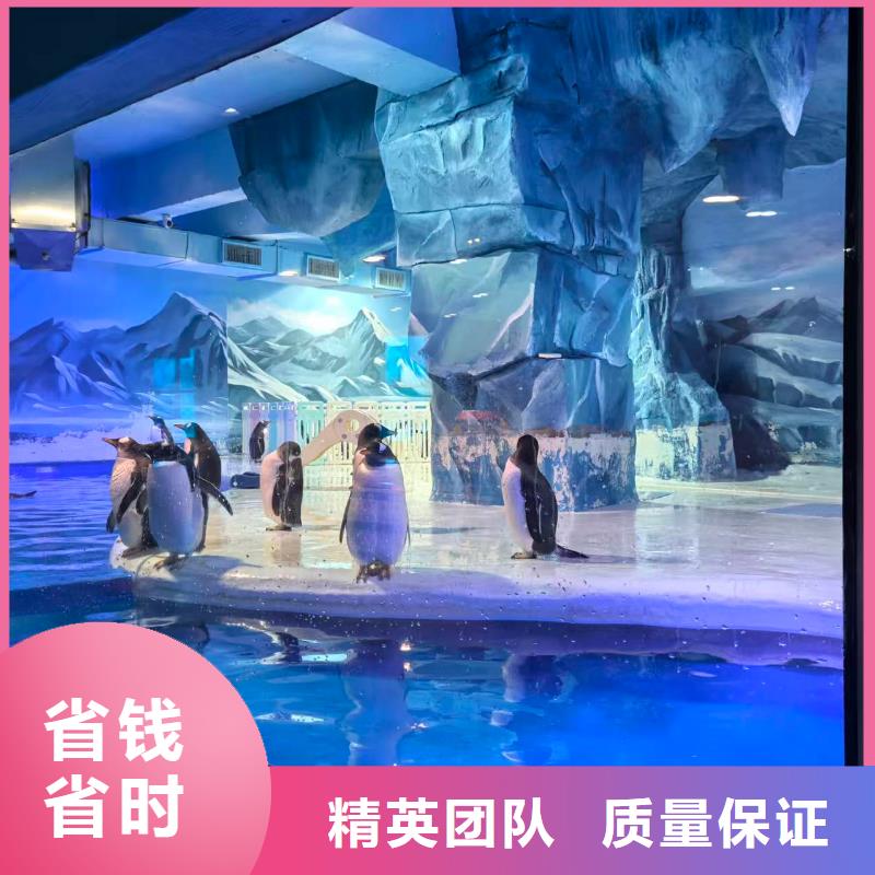 在本地買企鵝租賃更實惠