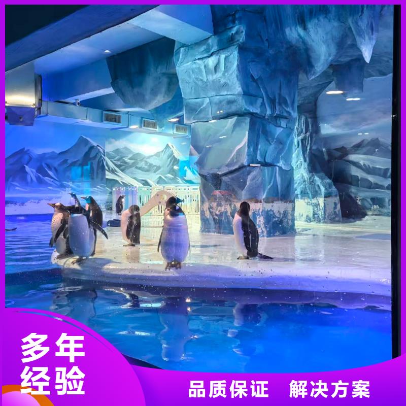 企鵝展覽采購找口碑廠家