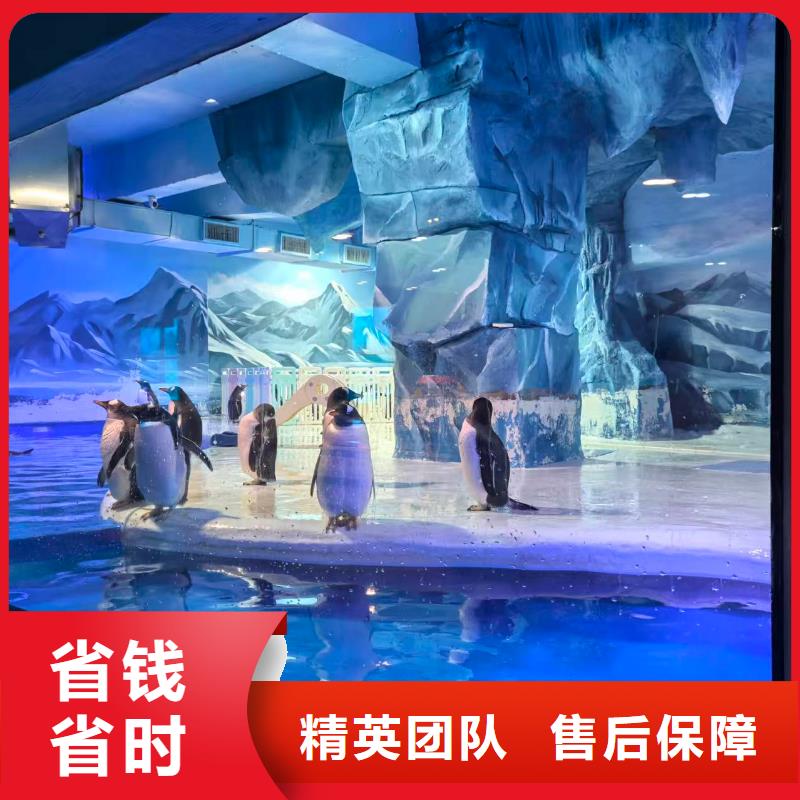 生產(chǎn)帽帶企鵝的當?shù)貜S家