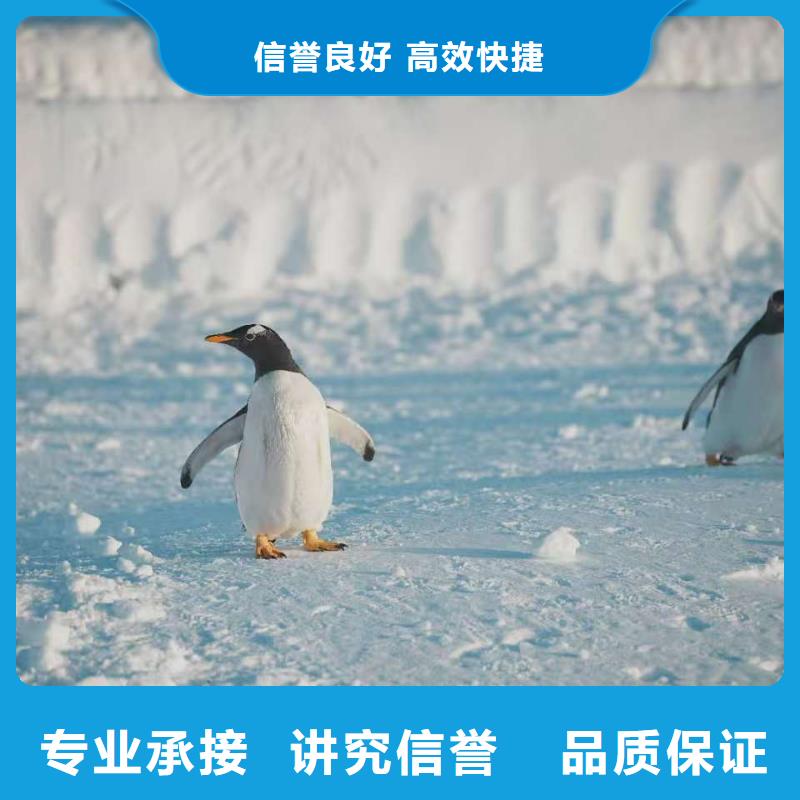 企鵝展覽采購找口碑廠家