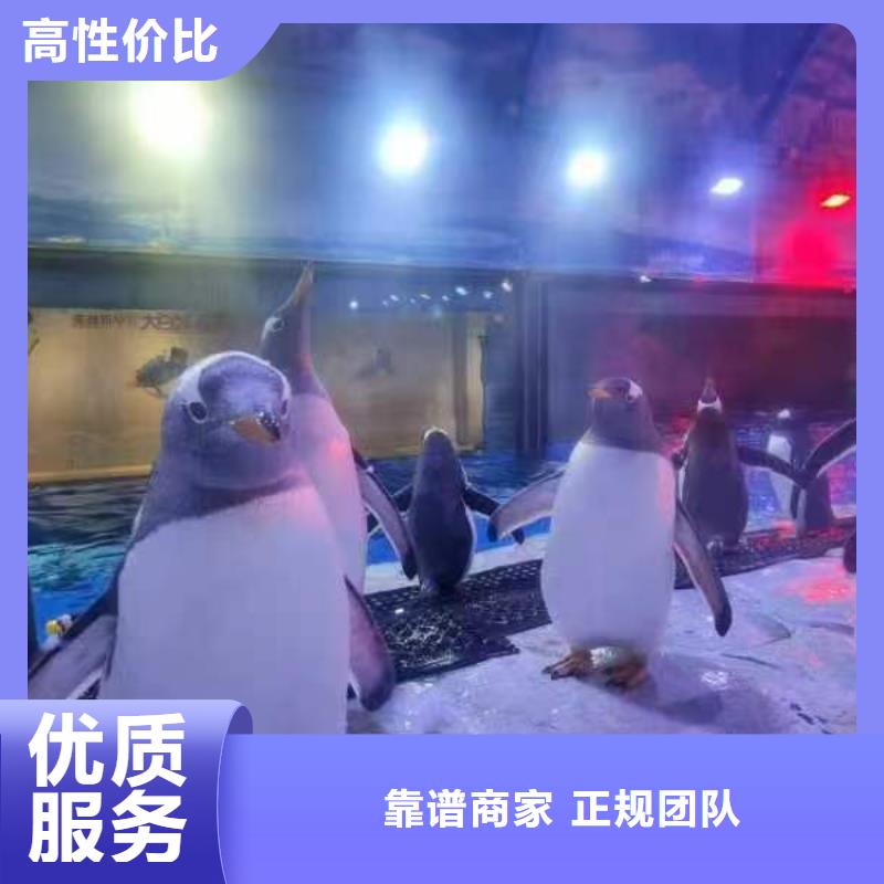 服務(wù)周到的企鵝展覽基地