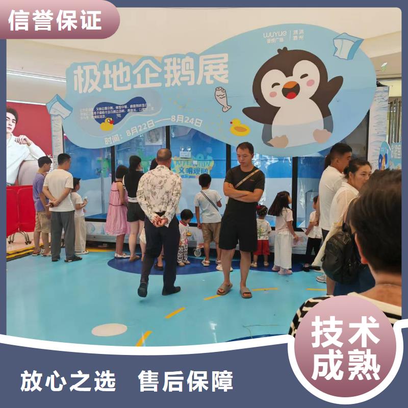 巴布亞企鵝咨詢