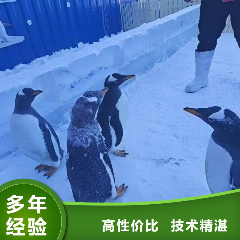 優(yōu)惠的策劃活動供應商