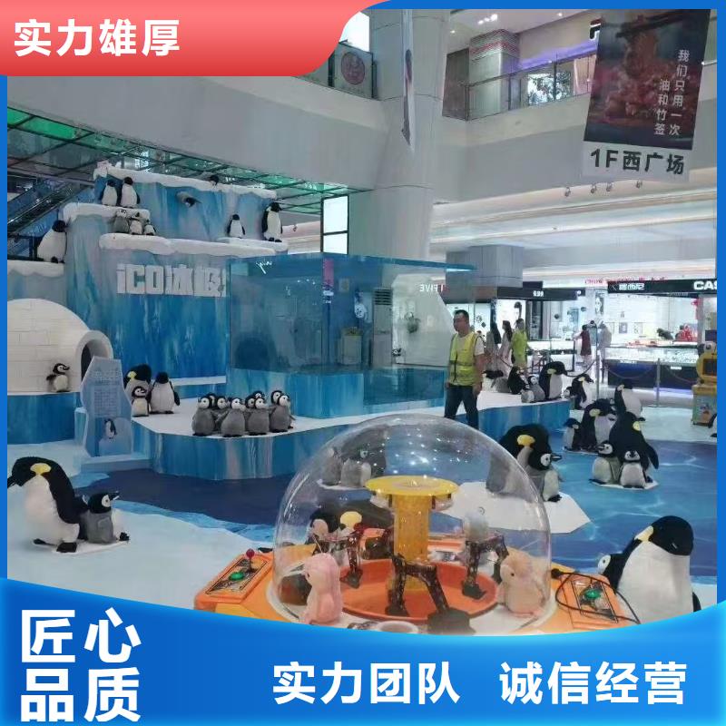 企鵝出租-高質(zhì)量企鵝出租