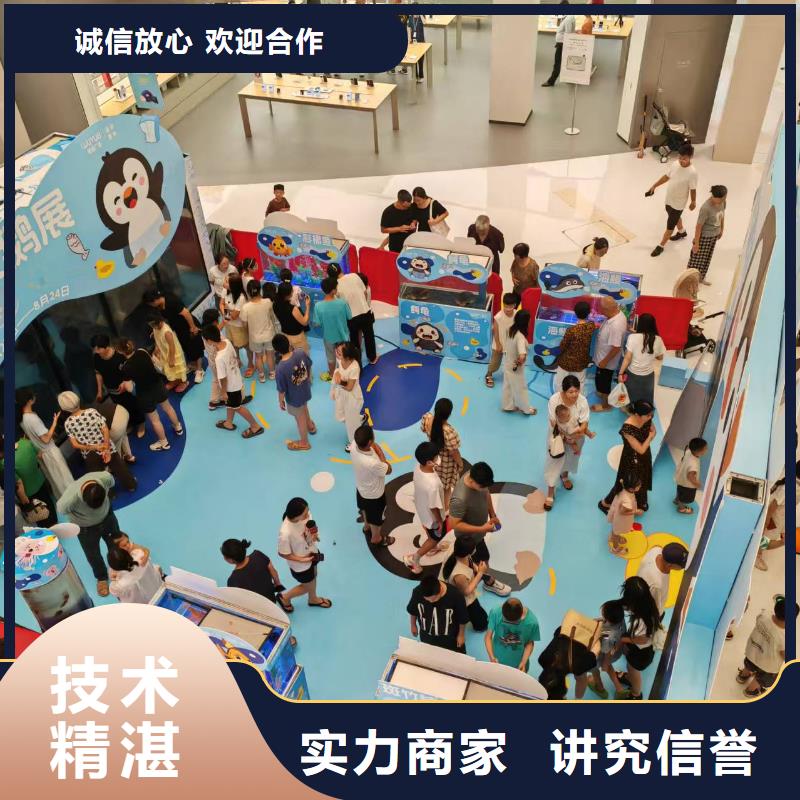 企鵝出租生產(chǎn)流程