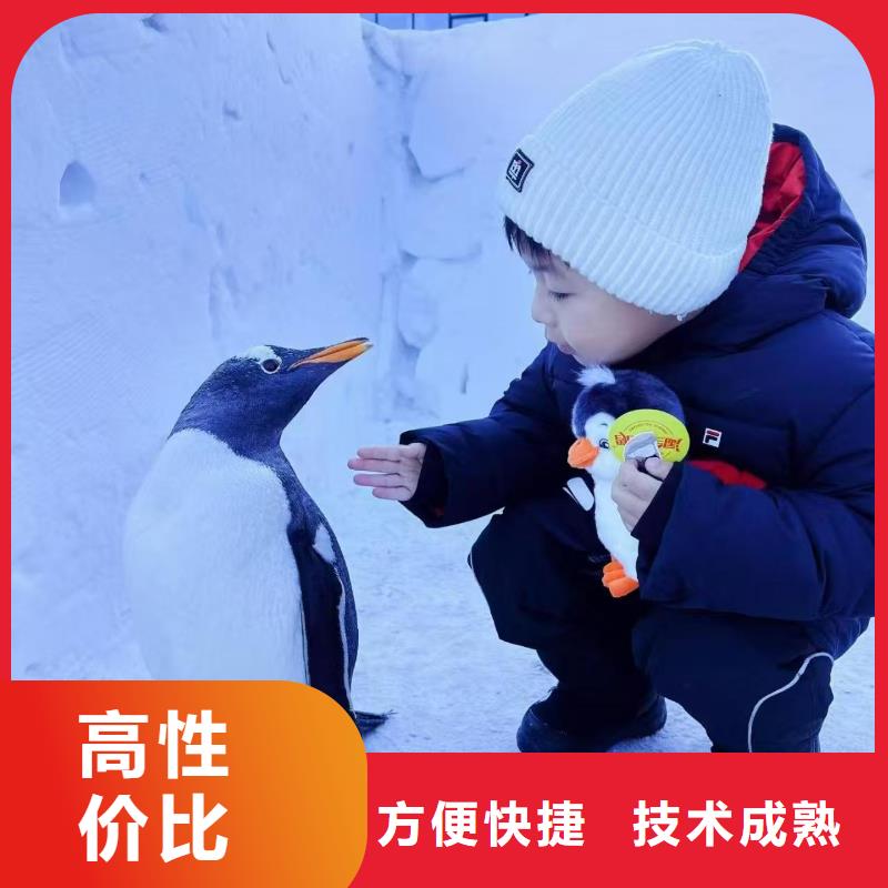 信譽(yù)好的企鵝展覽公司