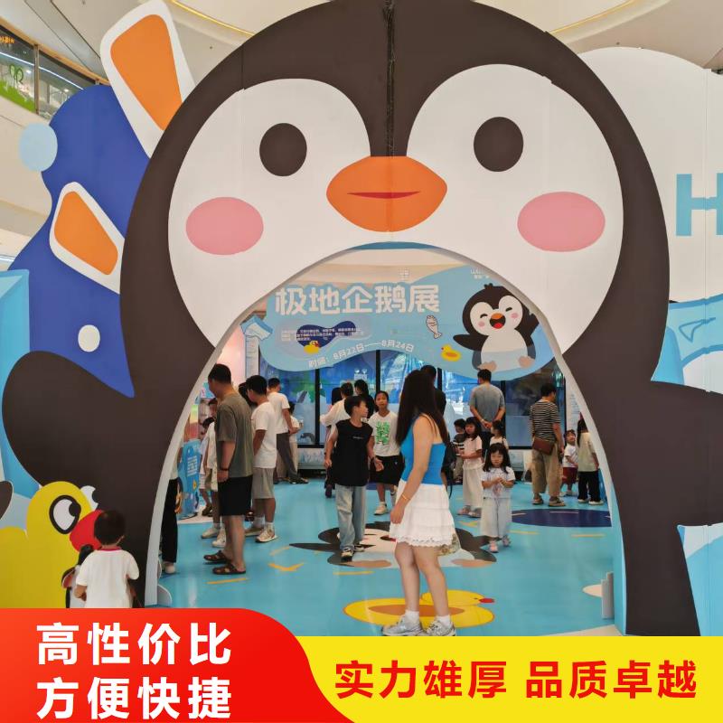 企鵝展覽-質(zhì)量可靠