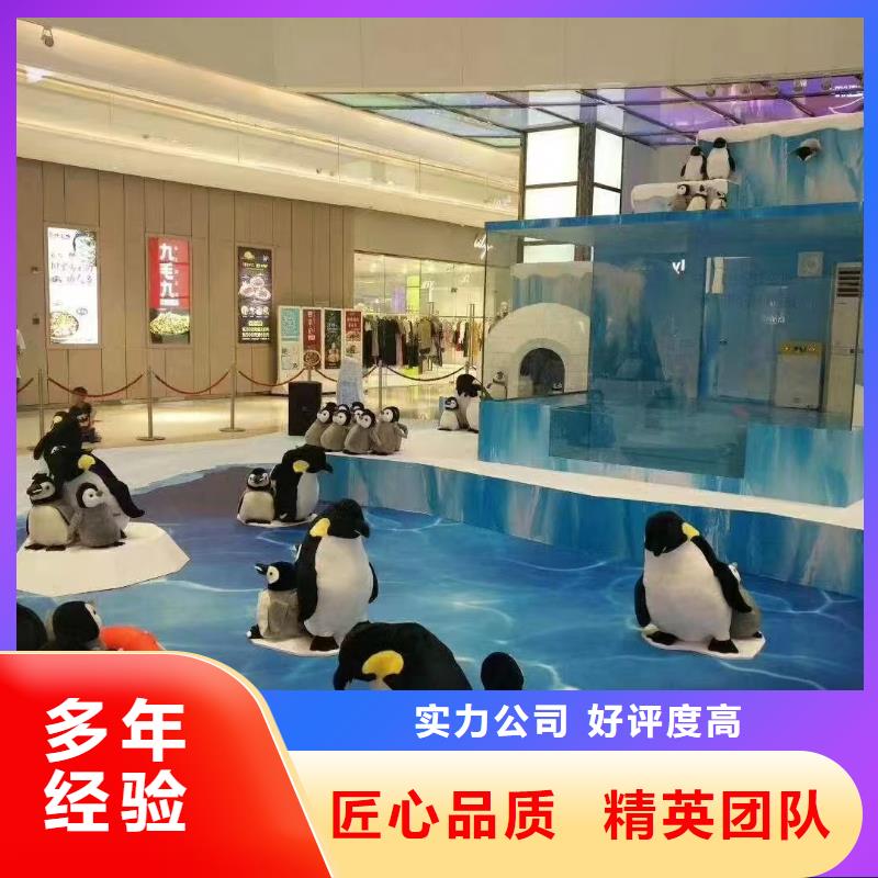 企鵝出租廠家量身定制