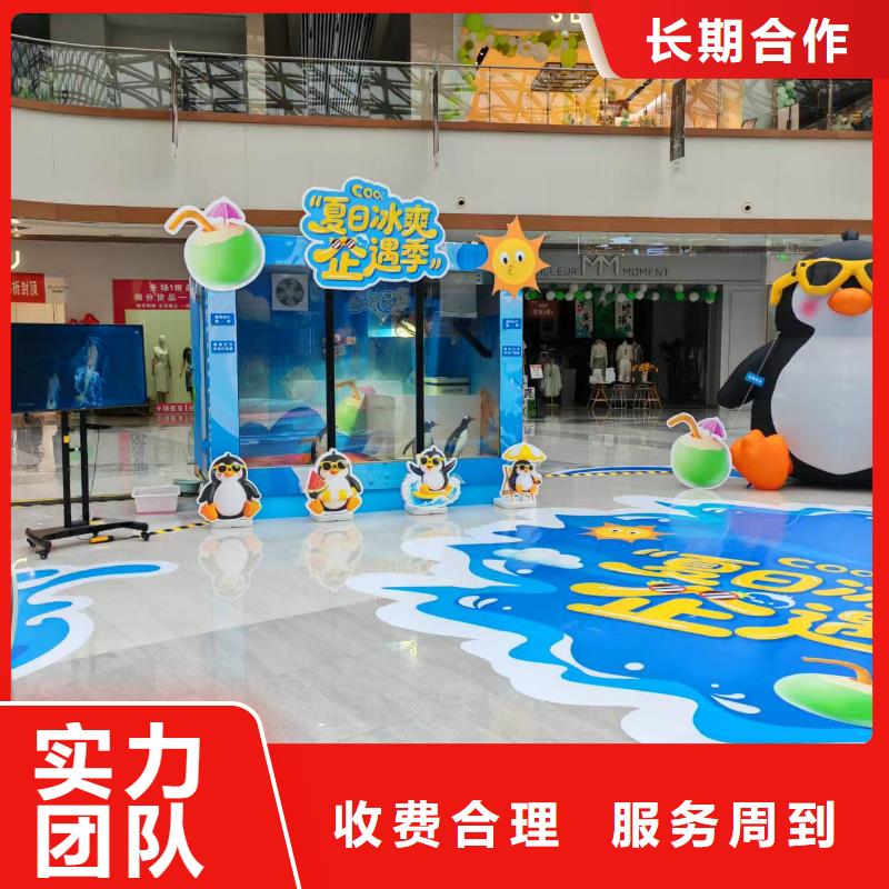 企鵝展覽-質(zhì)量可靠