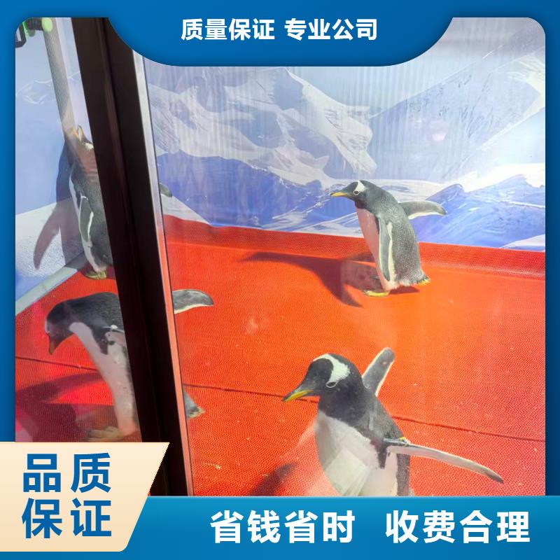 企鵝展覽更多詳情點擊