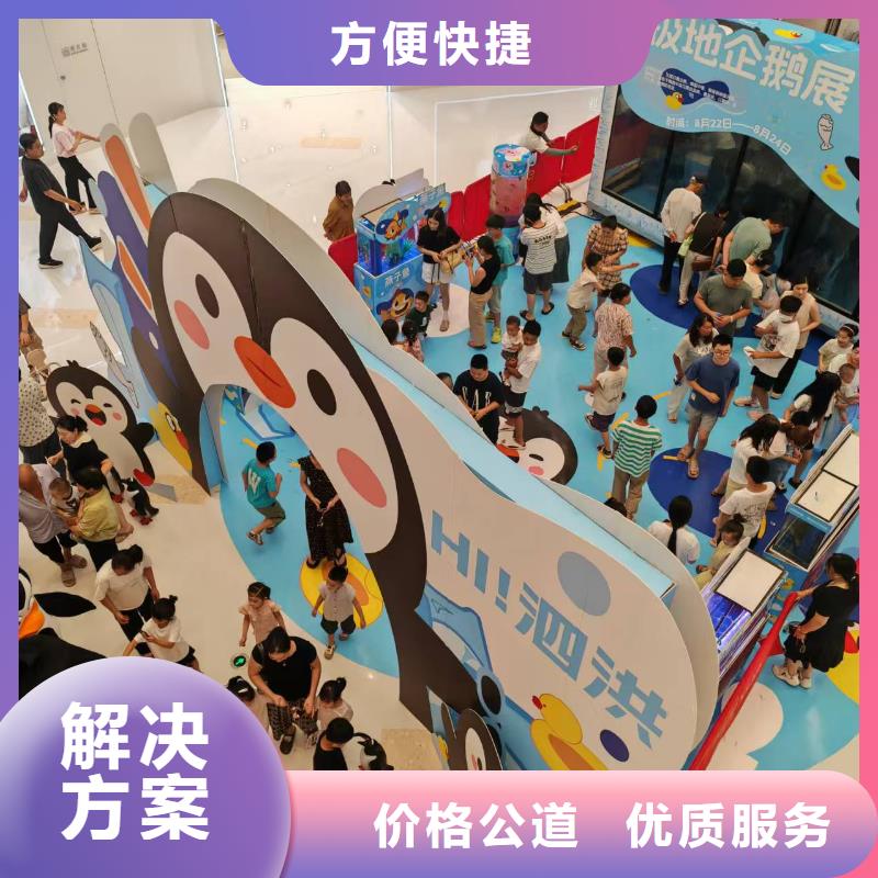 帝企鵝 全網(wǎng)低價