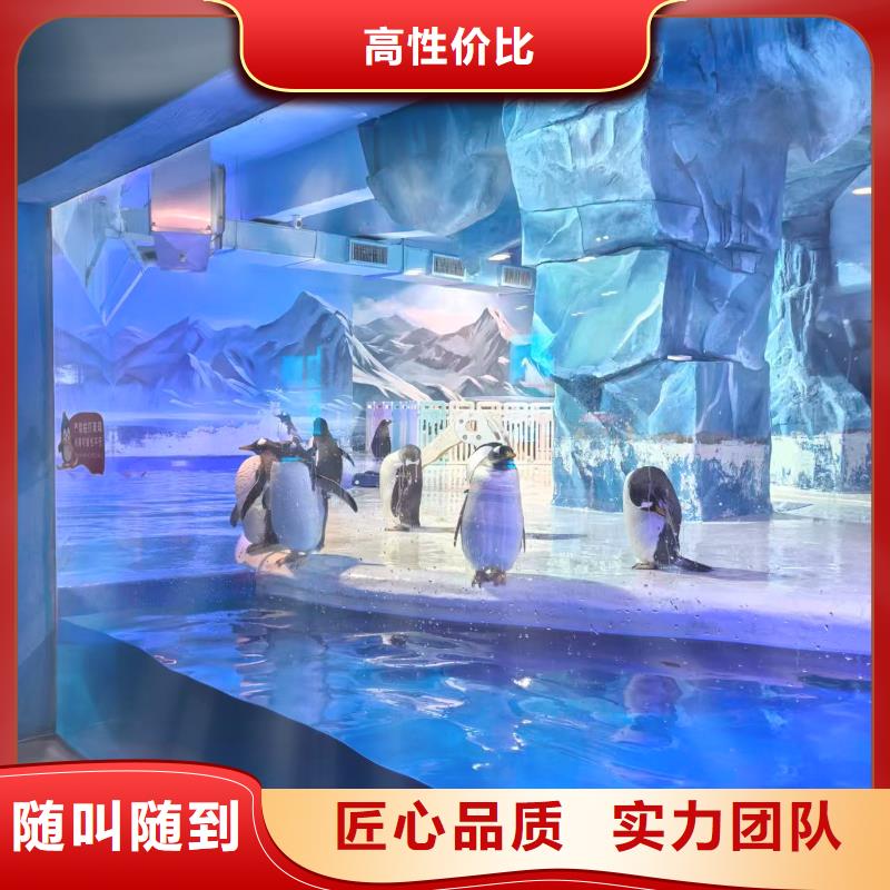 企鵝出租生產(chǎn)流程