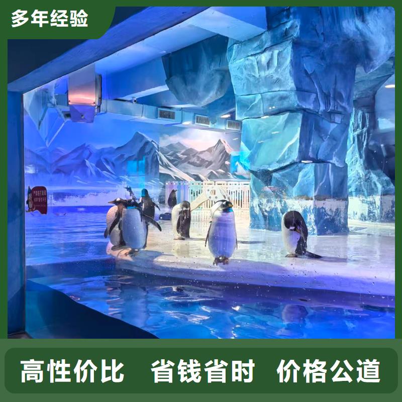 企鵝展覽-質(zhì)量可靠