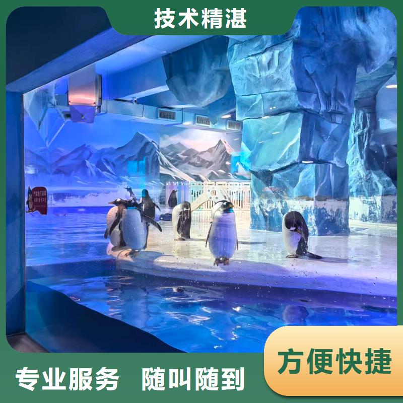 生產(chǎn)企鵝展_精選廠家