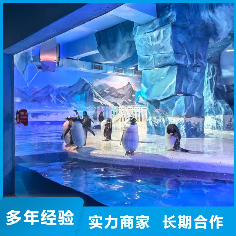 企鵝出租生產(chǎn)流程