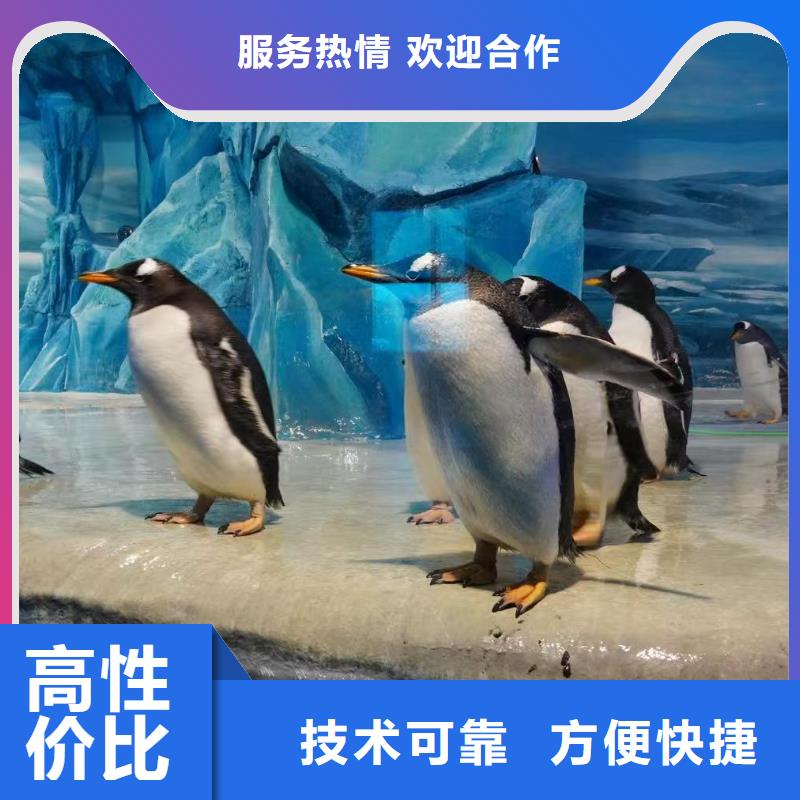 優(yōu)惠的策劃活動供應商