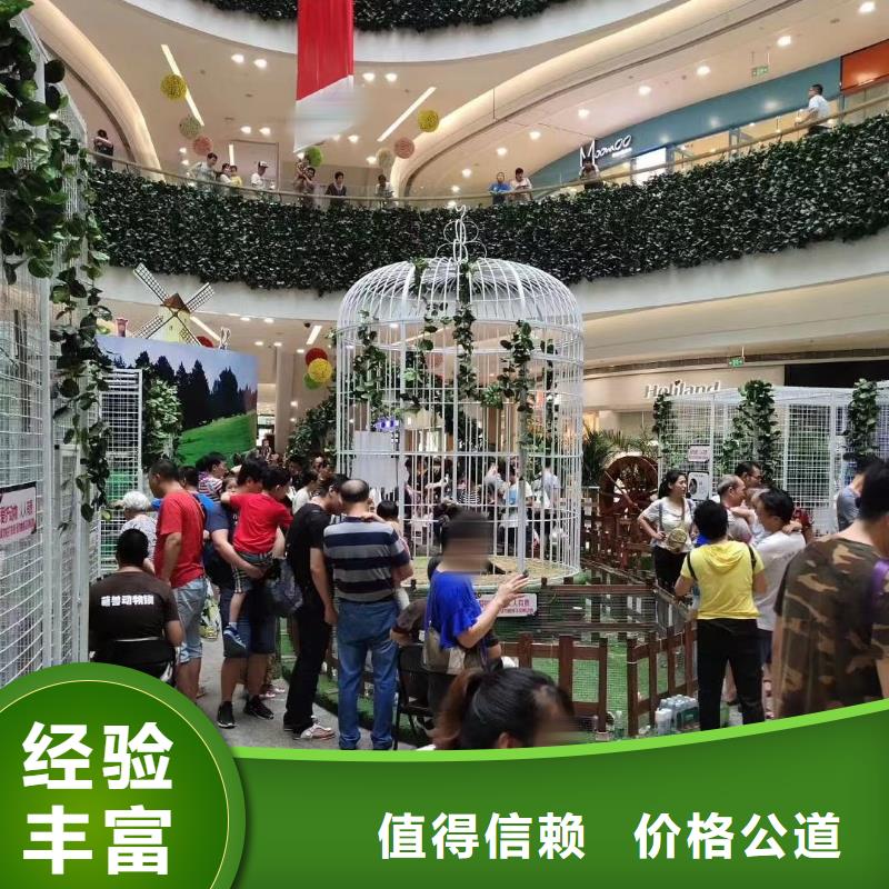 馬戲團(tuán)/羊駝小馬戲出租快速