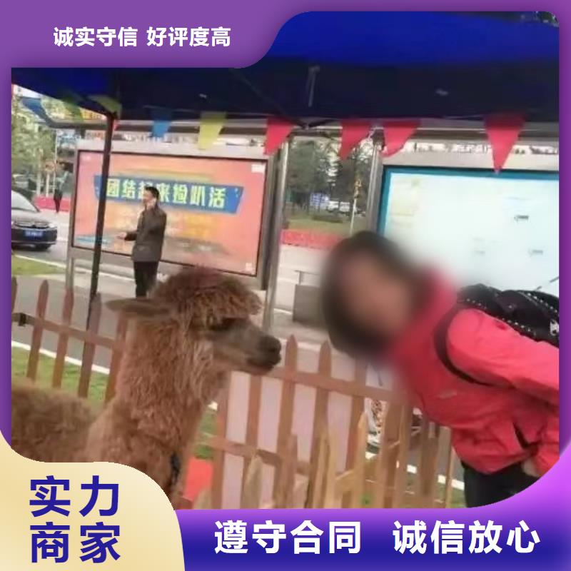 萌寵動(dòng)物展租賃活動(dòng)圖片