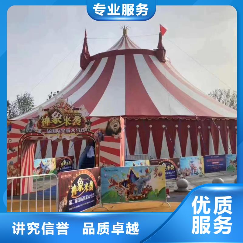 羊駝出租廠家服務(wù)熱線
